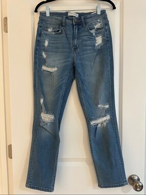 Flying Monkey Light Blue Distressed Skinny Jeans
